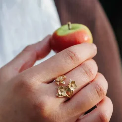 Bronzen ring Amerikaanse kornoelje