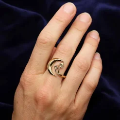 Bronzen ring maan en paddenstoelen