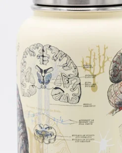 Drinkfles "Brain & Neuroscience" (950ml)