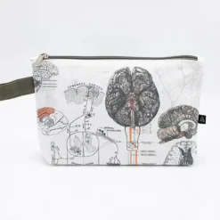 Etui anatomie van het brein