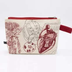 Etui anatomisch hart