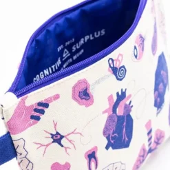 Etui "retro anatomy"