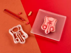 Kleivormpjes anatomie