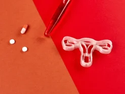 Kleivormpjes anatomie