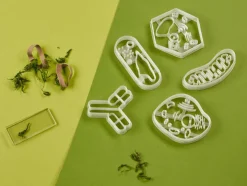 Kleivormpjes microbiologie