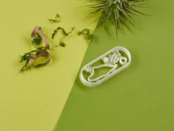 Kleivormpjes microbiologie