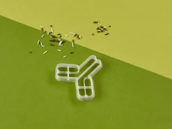 Kleivormpjes microbiologie