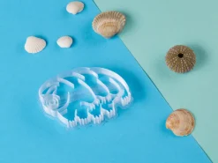 Kleivormpjes micro-/mariene biologie