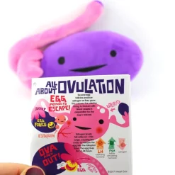 Knuffel eierstok - Ova Achiever