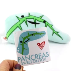 Knuffel pancreas - Sweet on you