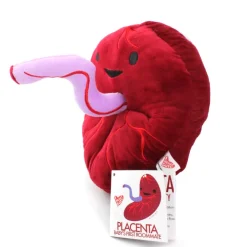 Knuffel placenta - Baby’s First Roommate