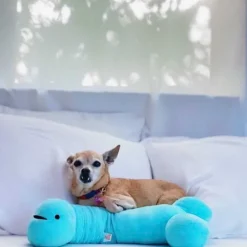 Knuffel/nekkussen penis met voorhuidzakje