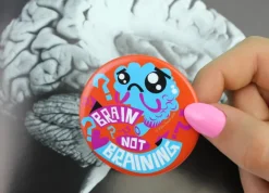 Magneet Brein - Brain not braining