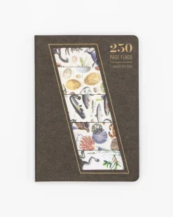 Page flags Shoreline