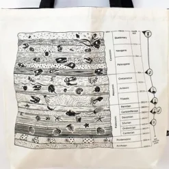 Schoudertas aardlagen/stratigrafie