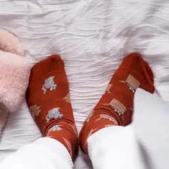 Schrödingers sokken