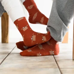 Schrödingers sokken