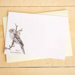 Set van 10 kaartjes "Impeckably Fowl"