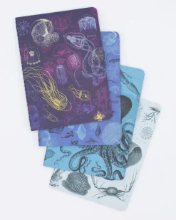 Set zaknotitieboekjes mariene biologie