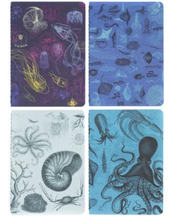 Set zaknotitieboekjes mariene biologie