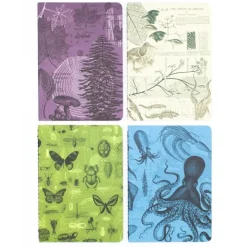 Set zaknotitieboekjes natural science