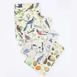 Set zaknotitieboekjes ornithologie