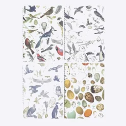 Set zaknotitieboekjes ornithologie