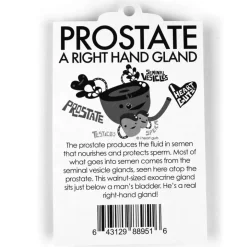 Sleutelhanger Prostaat - A Seminal Work