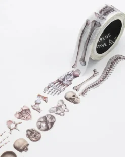 Washi-tape skelet