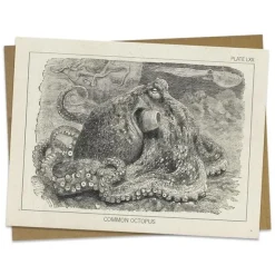 Wenskaart Europese achtarm