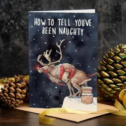 Wenskaart kerst "How to tell you've been naughty"
