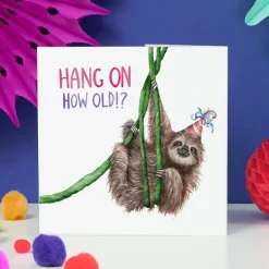 Wenskaart luiaard "How old?"