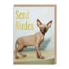 Wenskaart “Send Nudes"