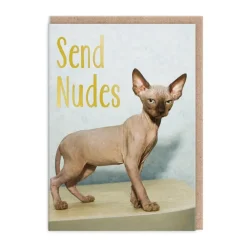 Wenskaart “Send Nudes"