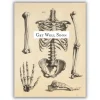 Wenskaart skelet "Get well soon"