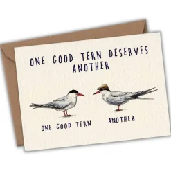 Wenskaart stern "One good tern"