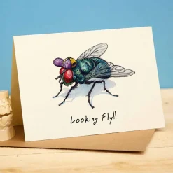 Wenskaart vlieg "Looking fly"