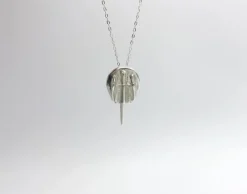 Zilveren halsketting degenkrab