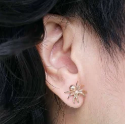 Zilveren oorbellen met bronzen spin