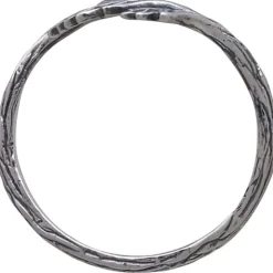 Zilveren ring bladeren